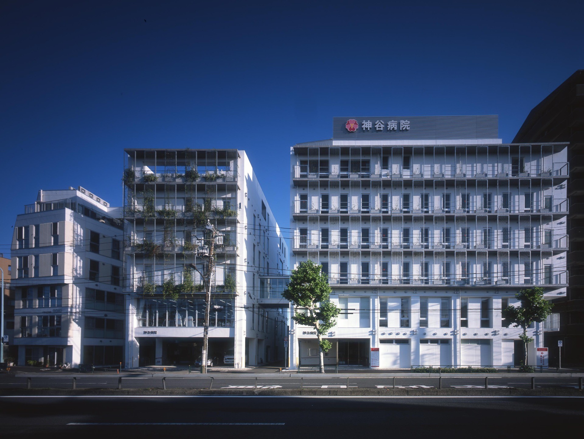 訪問看護　所長募集